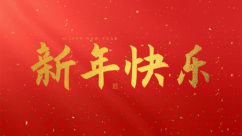 麗水市威儀自動(dòng)化技術(shù)有限公司祝全國人民2025新年快樂！